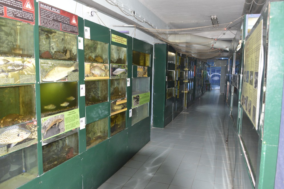 Kragujevac Aquarium